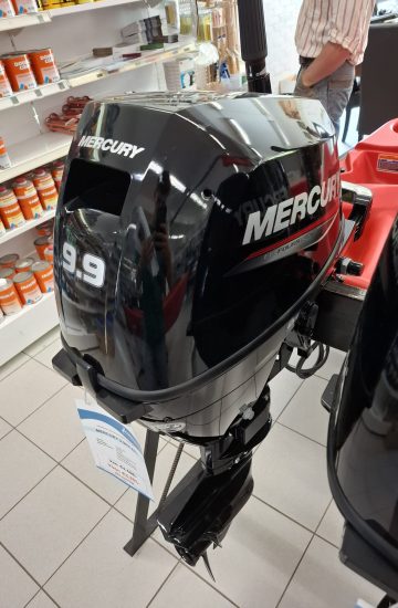 mercury 9.9 efi